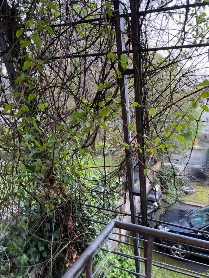 Schoene Wohnung In Zentraler Lage Im Ruhrgebiet Witten Extérieur photo